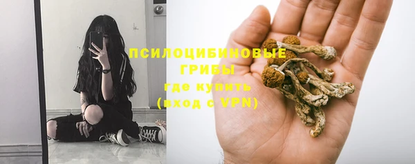ALPHA PVP Алексеевка