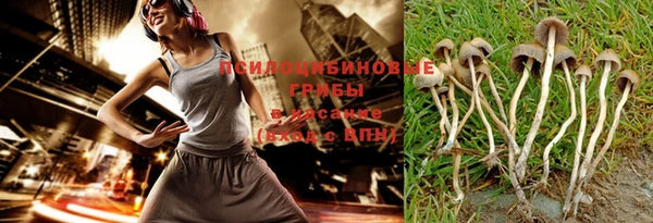 бошки Алексин