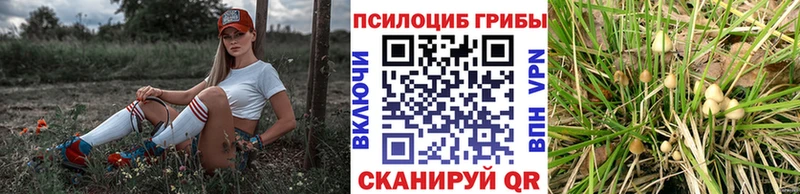 купить  цена  blacksprut вход  Галлюциногенные грибы ЛСД  Бабаево 